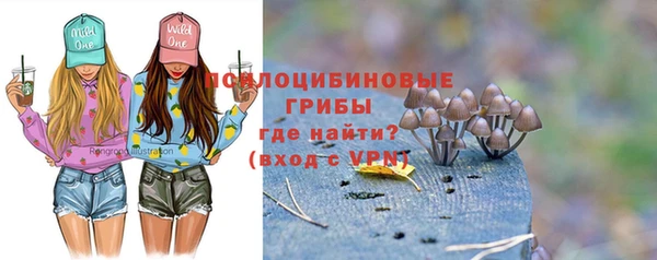 мет Новозыбков