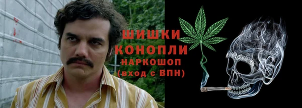 мет Новозыбков