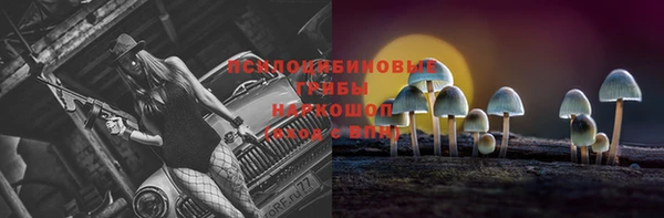 мескалин Новокубанск