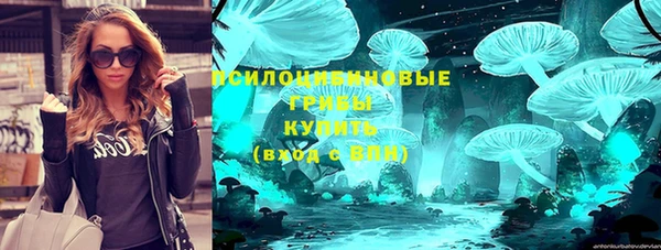 мет Новозыбков