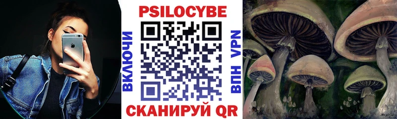 mega зеркало Бабаево Галлюциногенные грибы мухоморы